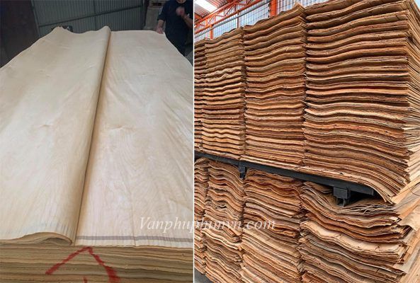 Ván ép là gì và 1 tấm ván ép được sản xuất như thế nào?